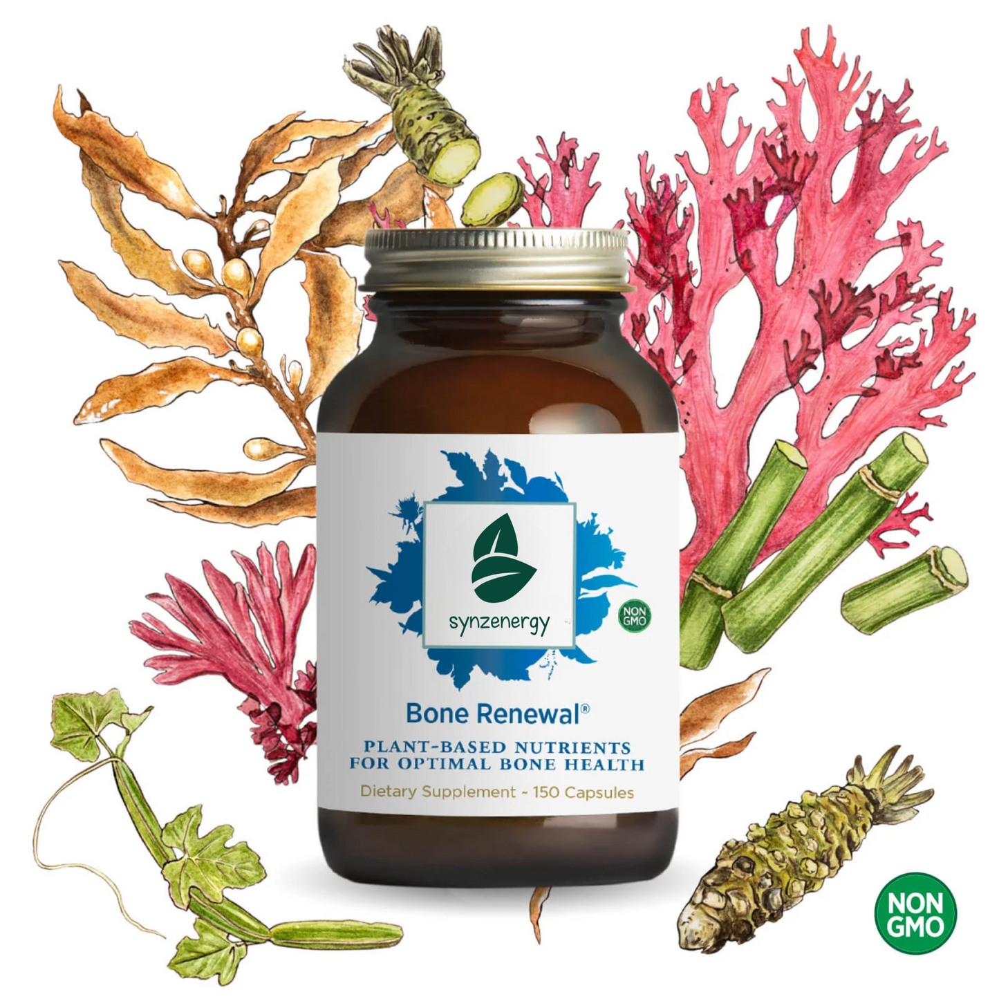 Synzenergy Bone Renewal®